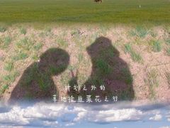 -呼伦贝尔大草原