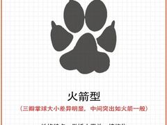 -顺强宠物诊所·狂犬免疫·夜诊·骨科(嘉定店)