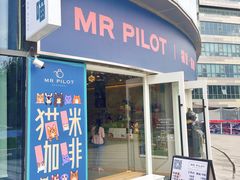 门面-飞行喵MR PILOT|猫舍·猫咖(静安大融城店)