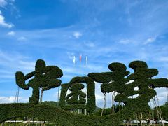 -东南花都花博园