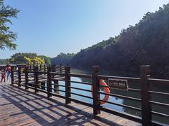 -大湾区中央湿地公园