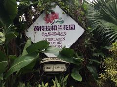 -东部华侨城