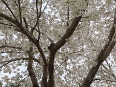 -郑州植物园