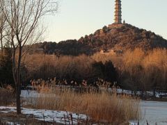 -北坞公园