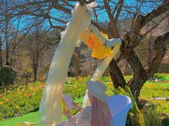 -名花谷生态庄园