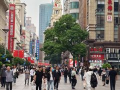 -沈大成(南京东路店)