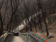 -妙峰山风景名胜区