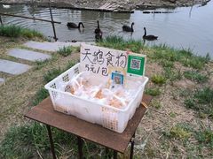 -西山漾湿地公园