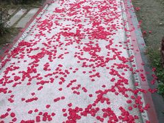 -西苑半岛·中餐厅
