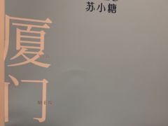 -厦门高崎国际机场-T3航站楼