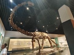 -衢州市博物馆