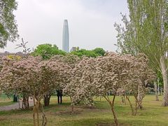 -泰丰公园