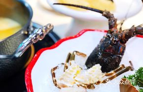 Australian Spiny Lobster (Small Lobster)