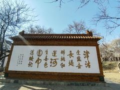 -桃花堤公园