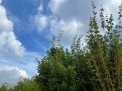-白塘生态植物园