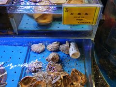 水产区-新海渔港·胶东海鲜家常菜·家宴(奥体中心店)