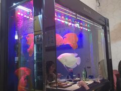 -万鑫鸡翅