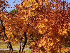 景点-白塘生态植物园