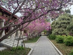 -洛阳古墓博物馆