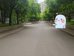 -中央民族大学