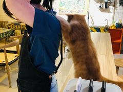 -平行世界·猫咖(首经贸店)