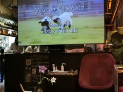 -Cooking Man(中懋天地店)