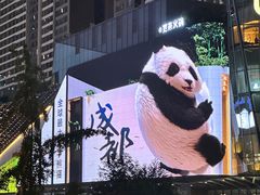 -合景·悠方(成都店)