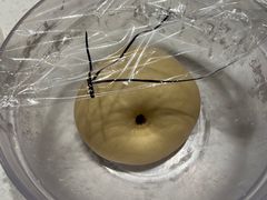 -ABC Cooking Studio(上海环球金融中心店)