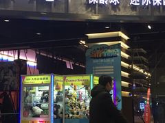 -大鲁阁保龄球(苏州园区店)