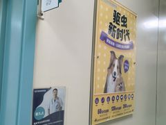 -北京观赏动物医院·24小时大型综合·猫专科·异宠专科