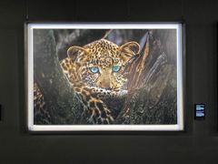 -罗红摄影艺术馆