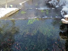 -水磨沟公园