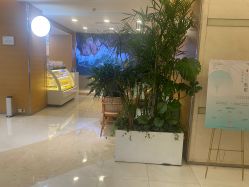 -杭州贝瑞斯美华妇儿医院·早孕·产检·儿科