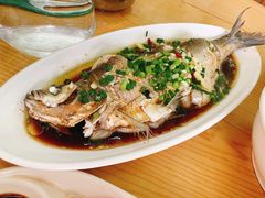 -宾湖农庄·农场特色(太湖龙之梦店)