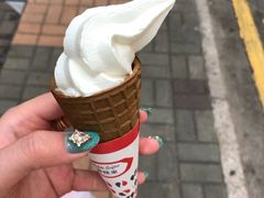 -富豪雪糕车流动点(尖沙咀店)