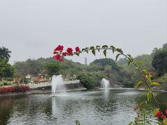 -广州莲花山旅游区