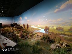 -陕西自然博物馆