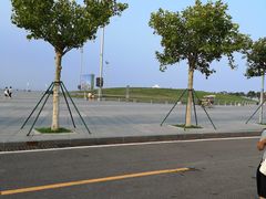 -东港音乐喷泉广场