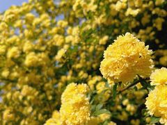 -浙江农林大学(东湖校区)