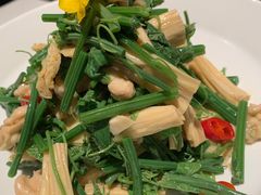 腐竹拌丝瓜苗-北平楼·烤鸭·北京菜(牡丹园店)