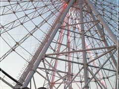 -琴岛之星摩天轮