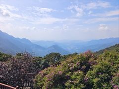 -广州市石门国家森林公园