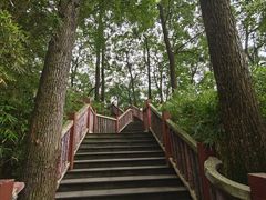 -南山植物园