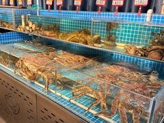 -韩记海鲜饺子旗舰店(红海新区店)