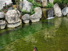 -南宁荔园维景国际酒店·荔园中餐厅