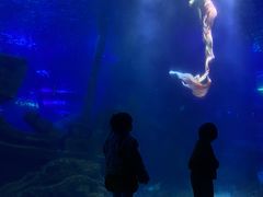 -江和美海洋公园