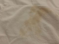 -白玉兰苏州观前街平江路酒店