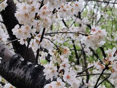 -白塘生态植物园