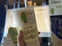 -猫的魔法密林(衣裳街店)