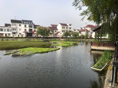 -金山嘴渔村